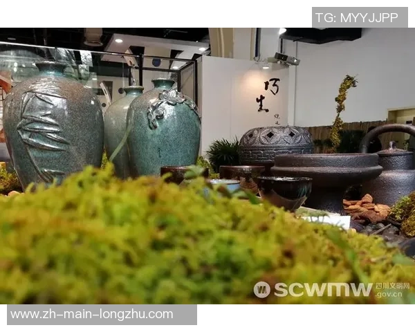 广西与四川的对决谁能笑到最后探讨两地文化与经济的碰撞与融合